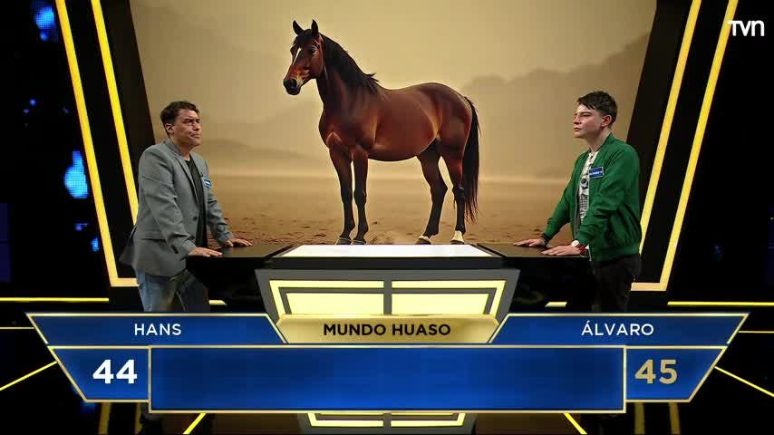The Floor Chile: Revive el duelo final de este domingo 