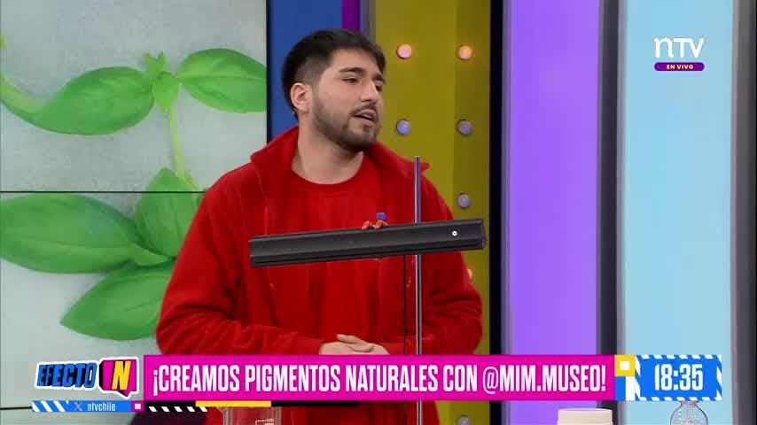 ¡Creamos pintura natural junto a MIM! | Efecto N