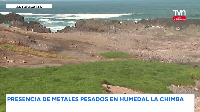 Estudio de la UA detecta la presencia de metales pesados en el humedal de La Chimba