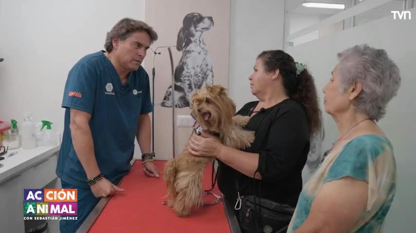 Acción Animal, con Sebastián Jiménez: Capítulo 18