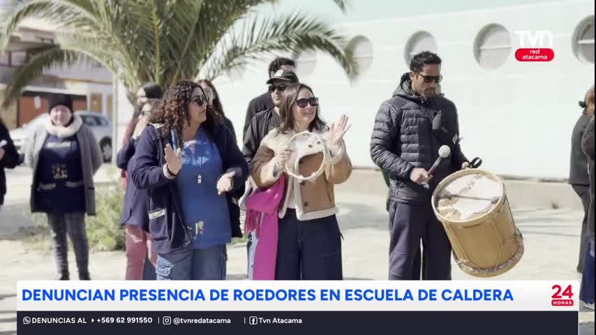 Denuncian plaga de ratones en escuela