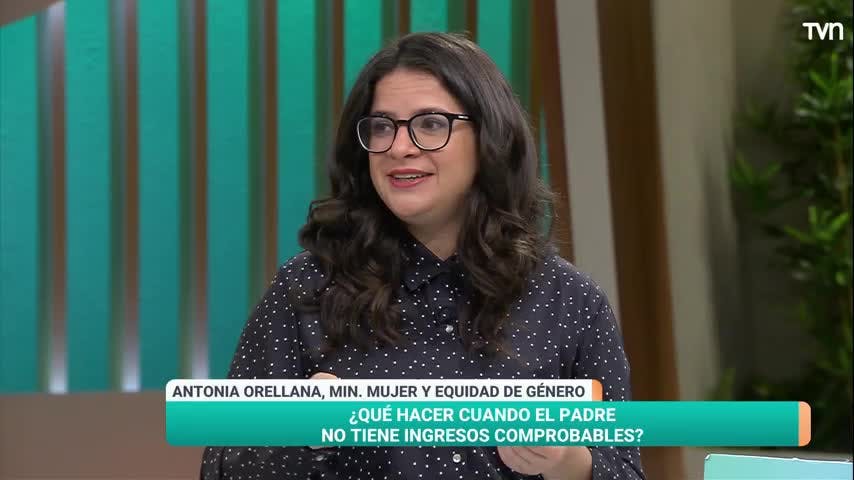 A dos años de la “Ley Papito Corazón”: conversamos los avances con la ministra Antonia Orellana