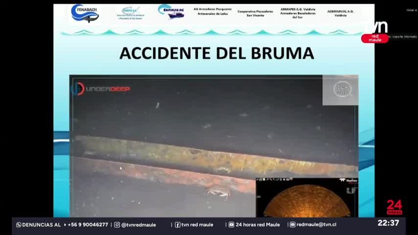 Comisión investigadora caso Bruma