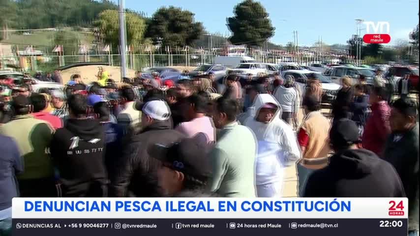 Denuncian pesca ilegal en Constitución