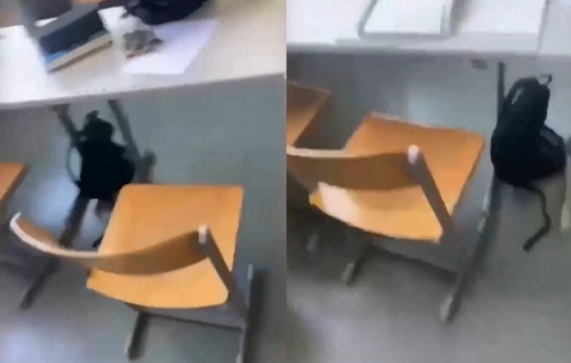 La imágenes del fatal tiroteo en colegio de Austria