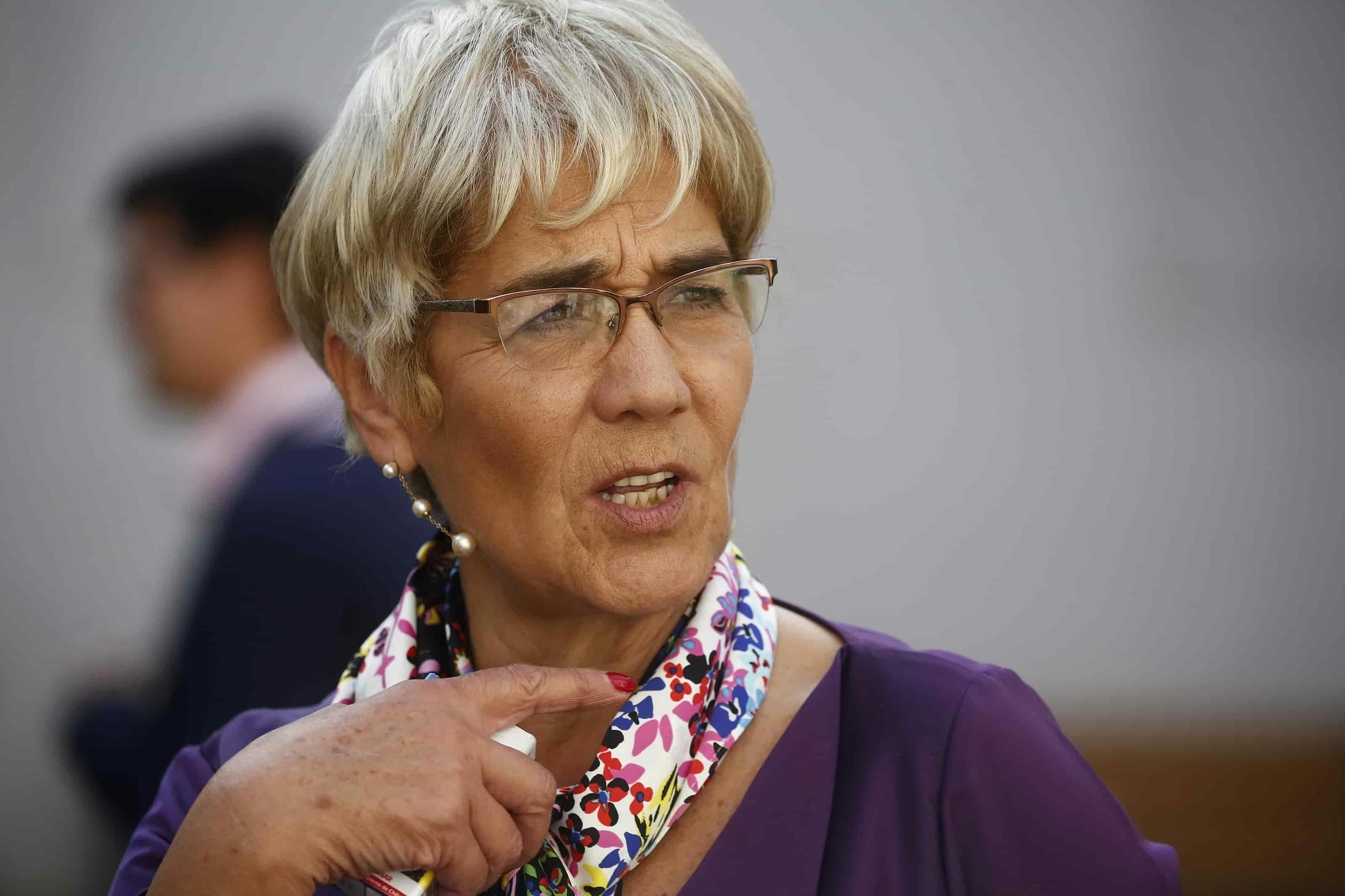 Ebensperger afirma que reforma al sistema político busca "responderle mejor a los ciudadanos"