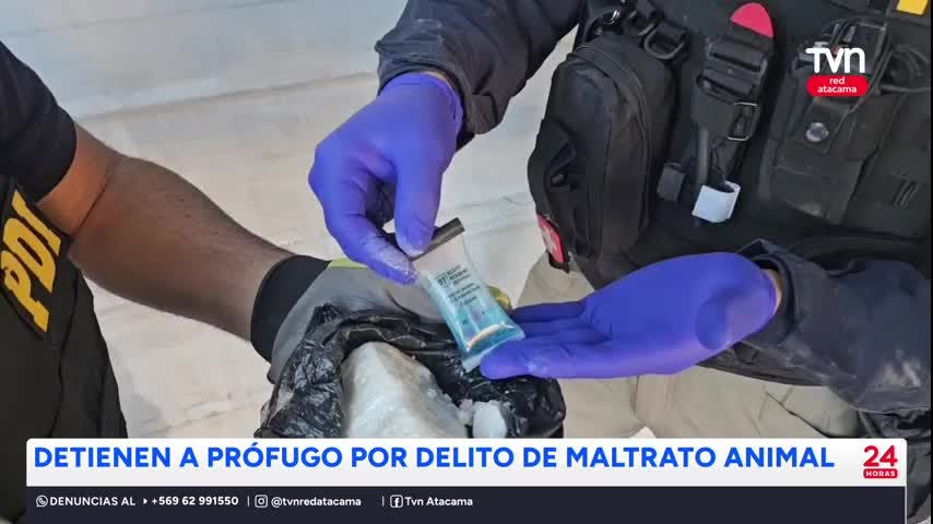 Detienen a prófugo por delito de maltrato animal