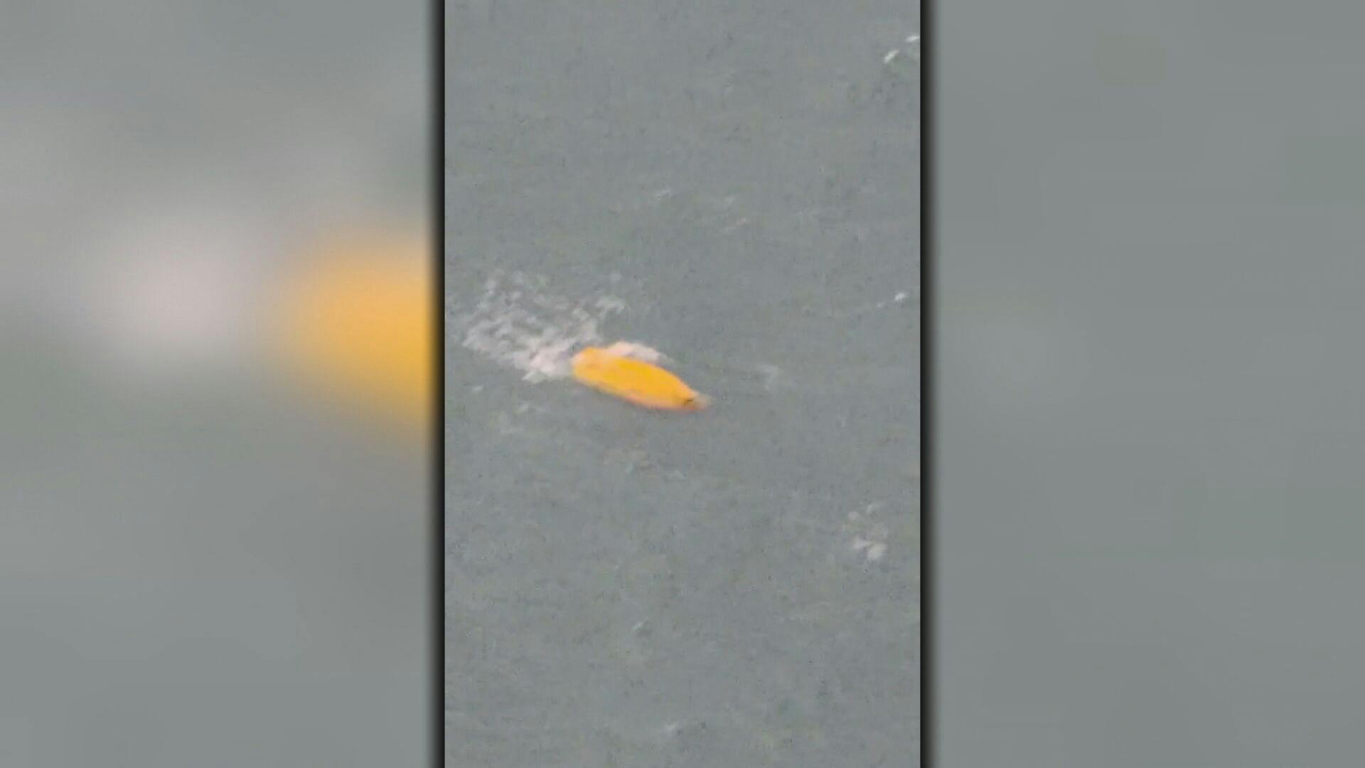 Recuperan bote y red de pescadores desaparecidos en región del Biobío