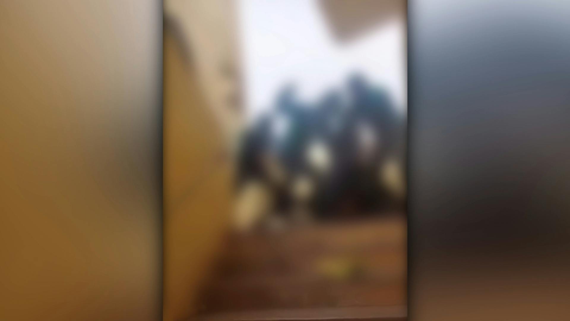 Apoderados del liceo Los Arenales protestan por violencia escolar