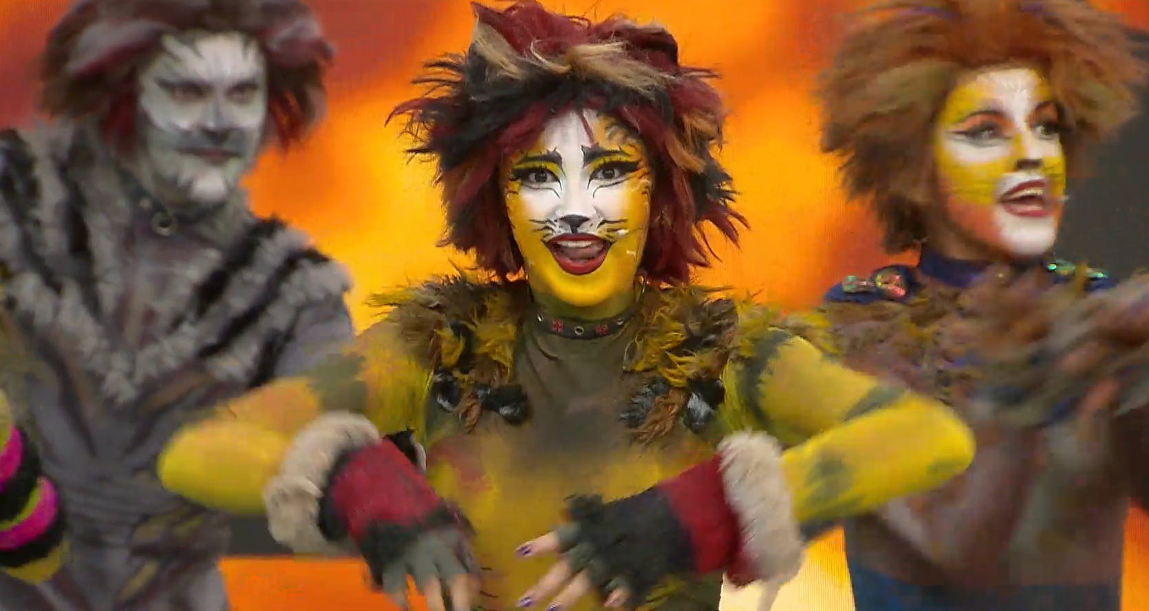 ¡Exclusivo! Mira un adelanto del musical CATS en El Medio Día