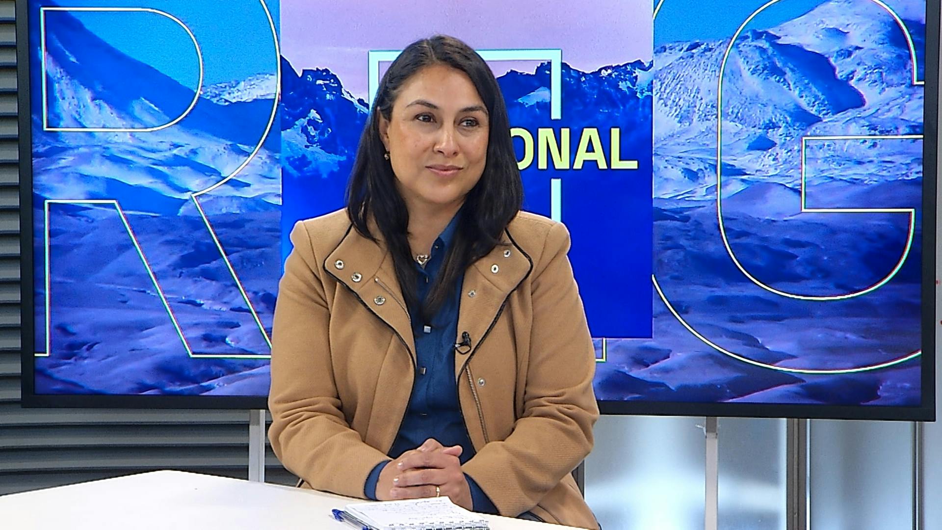 Diputada Francesca Muñoz adelantó que se buscará avanzar en un registro nacional de chatarrerías