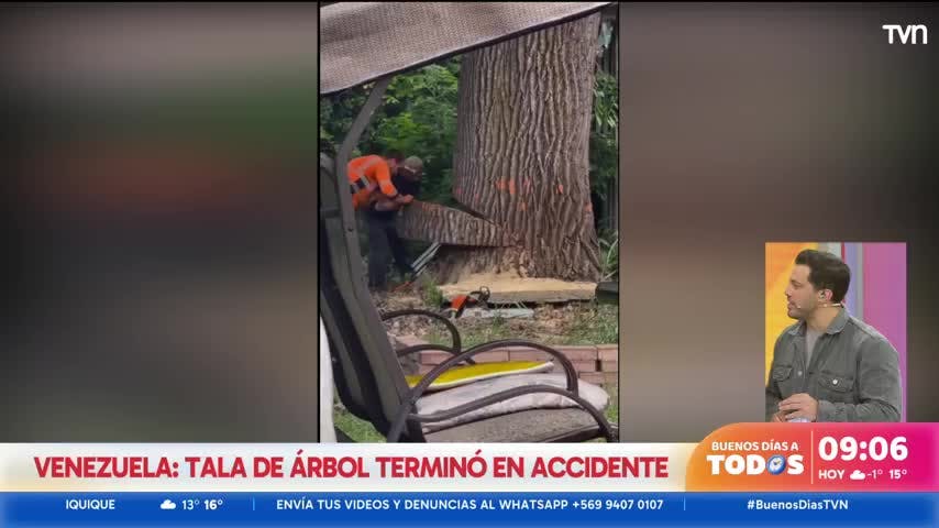 Tala de árbol provocó grave accidente: Terminó cayendo sobre una casa 