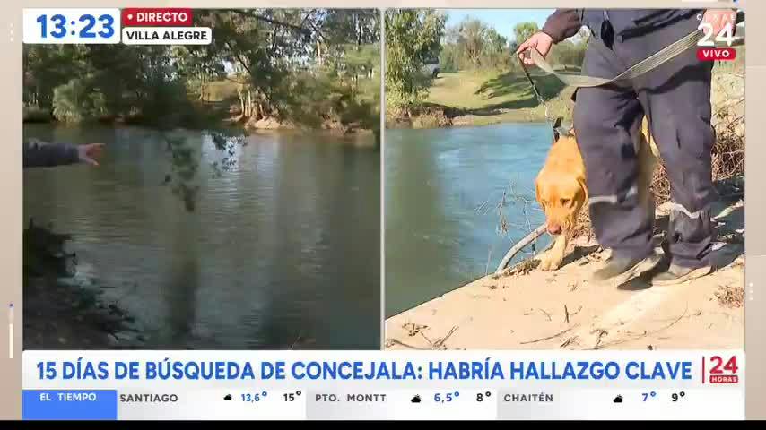 El nuevo lugar de interés tras llamativo hallazgo en búsqueda de concejala de Villa Alegre