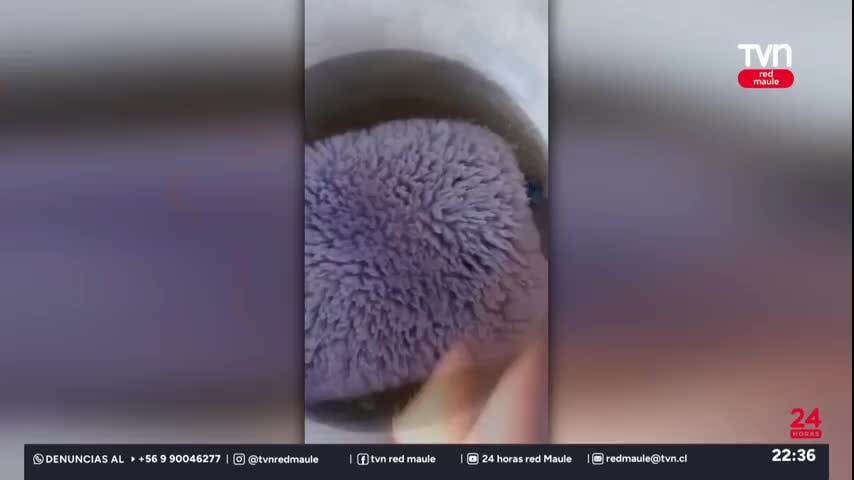 Temperaturas marcaron bajo cero. Linares marcó -8 grados