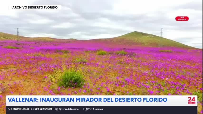 Inauguran mirador del Desierto Florido