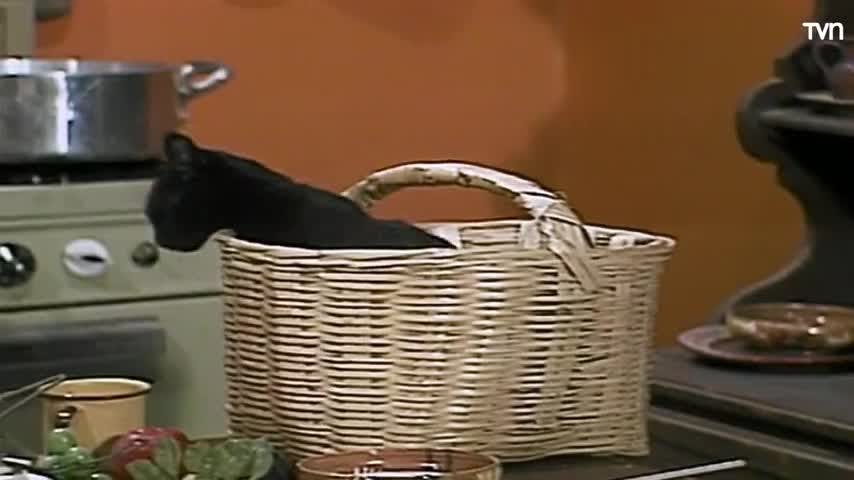 El Chavo del 8: Leche para la gata