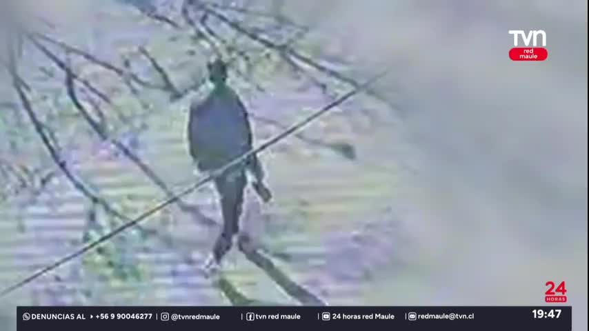 Tens desaparece en extrañas circunstancias en Longaví