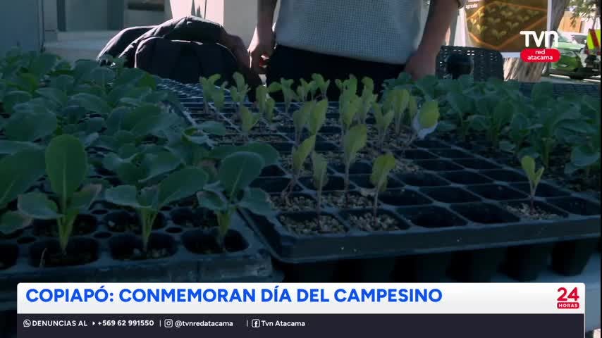 Copiapó: Celebran Día del Campesino