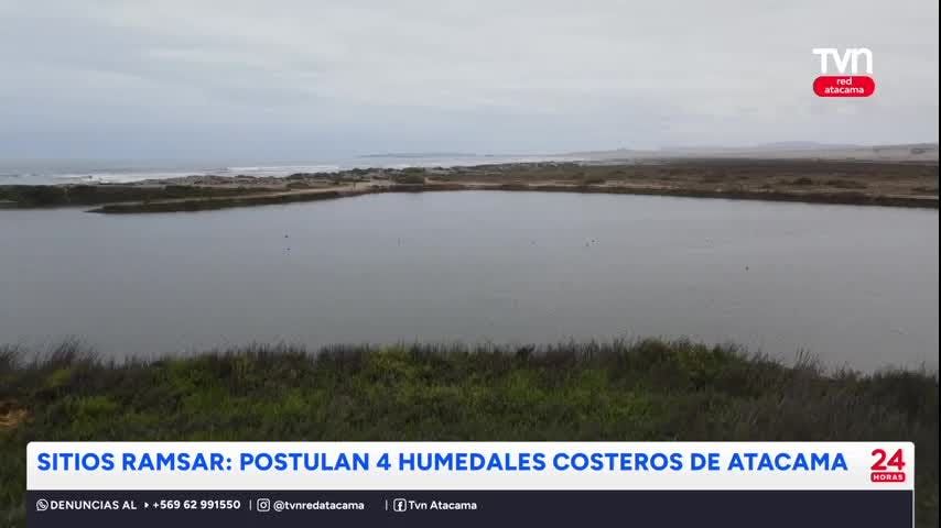 Sitios Ramsar: Postulan a 4 humedales de Atacama
