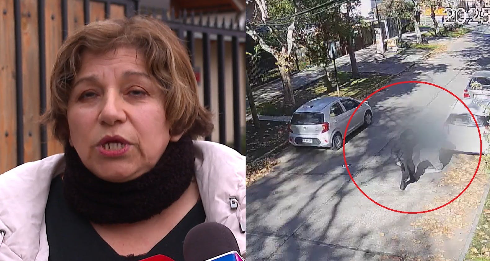 La versión de la jueza suspendida por liberación del sicario del Rey de Meiggs