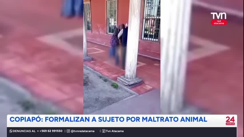 Copiapó: formalizan a sujeto por maltrato animal