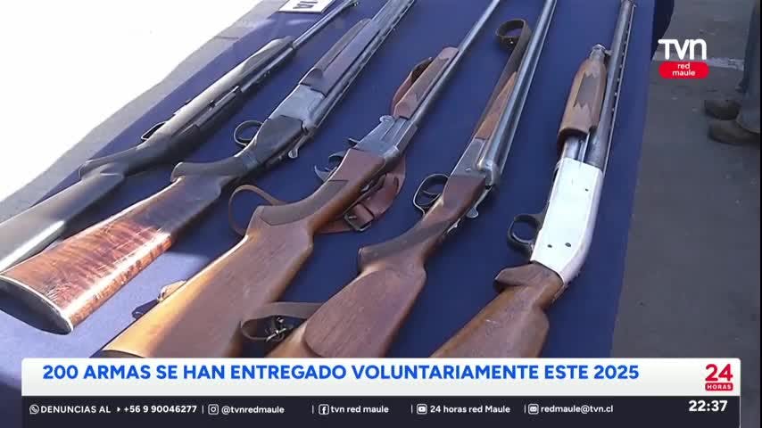 Más de 200 armas se han entregado voluntariamente en Talca