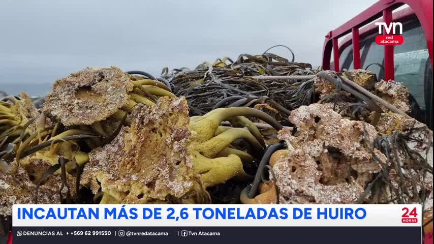 Nueva incautación de SERNAPESCA