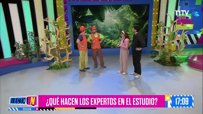¿¡Dónde está el tigre!? Caos en el estudio de Efecto N 