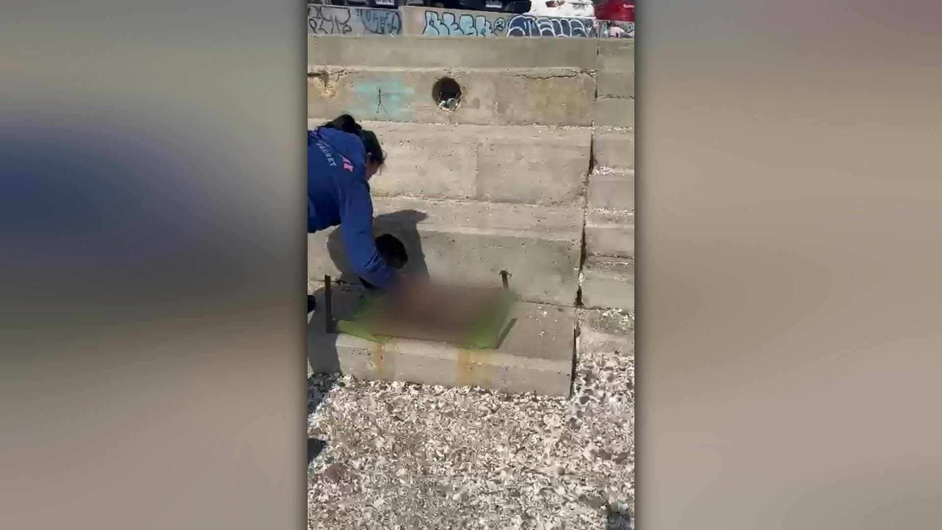 Investigan denuncia de maltrato animal en sector del balneario municipal
