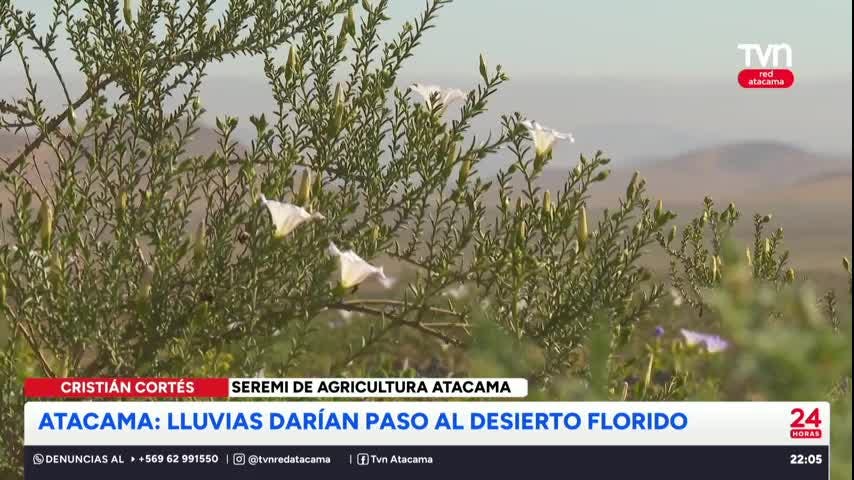 24 Horas Red Atacama - 6 de Agosto 2025