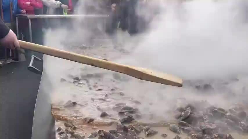El “Gran cholguazo” de Penco: descubra los beneficios de comer cholga