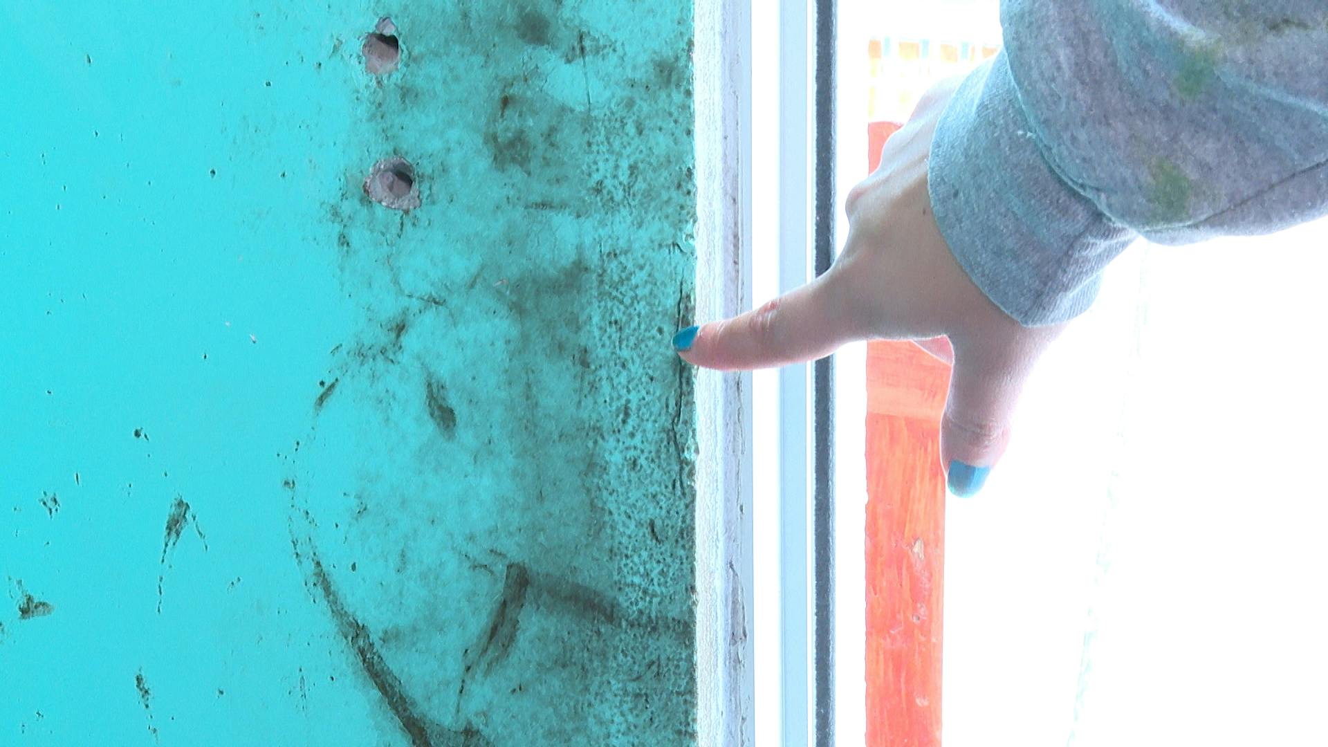 Familias denuncian problemas de hongos en sus viviendas
