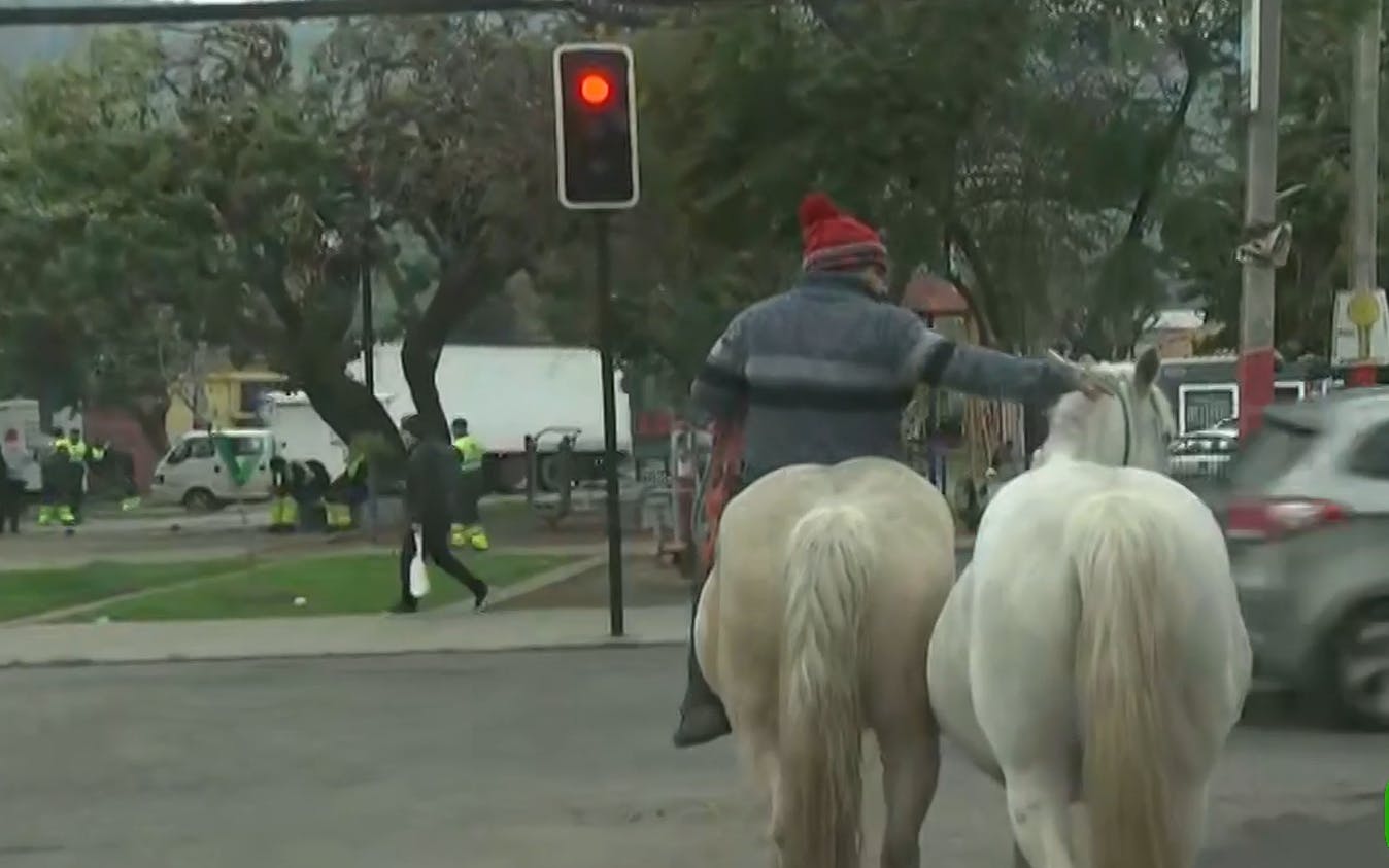 ¡Caballitos en fuga! Animales impiden el tránsito en calles de Recoleta