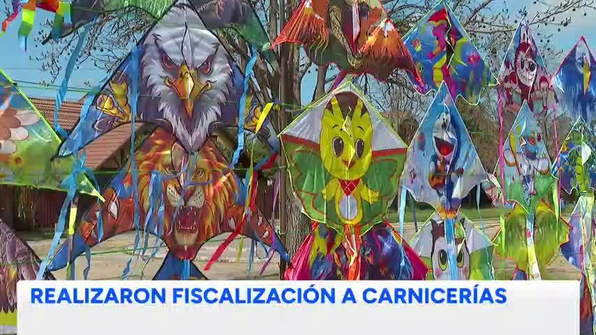 Decomisaron 40 kilos de carne en mal estado