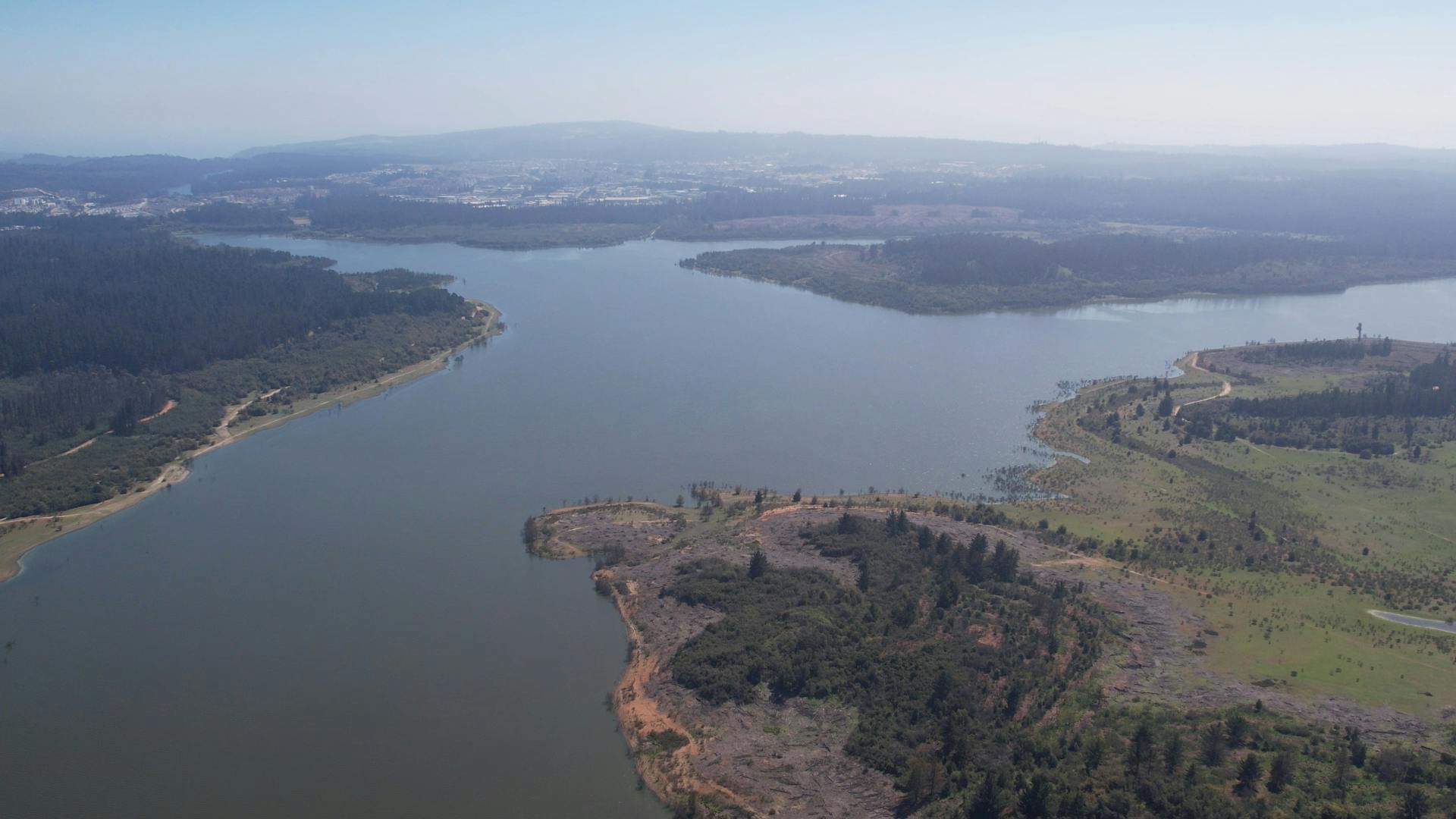 Peñuelas recupera agua y parte de su arbolado quemado