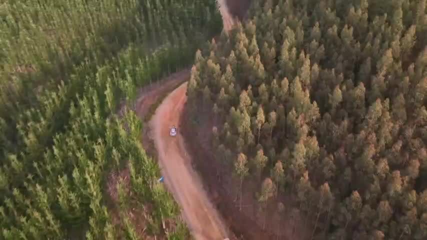 Rally Chile Biobío: así serán las modificaciones de tránsito