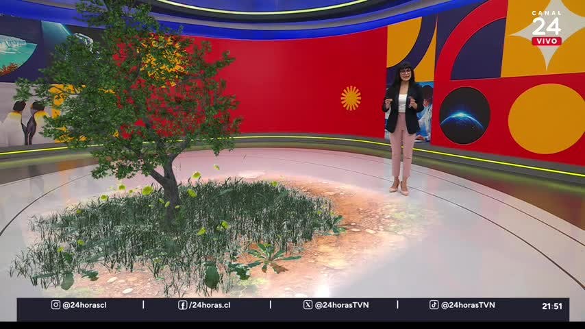 Conciencia 24.7 en 24 Horas: 25 de julio 2025