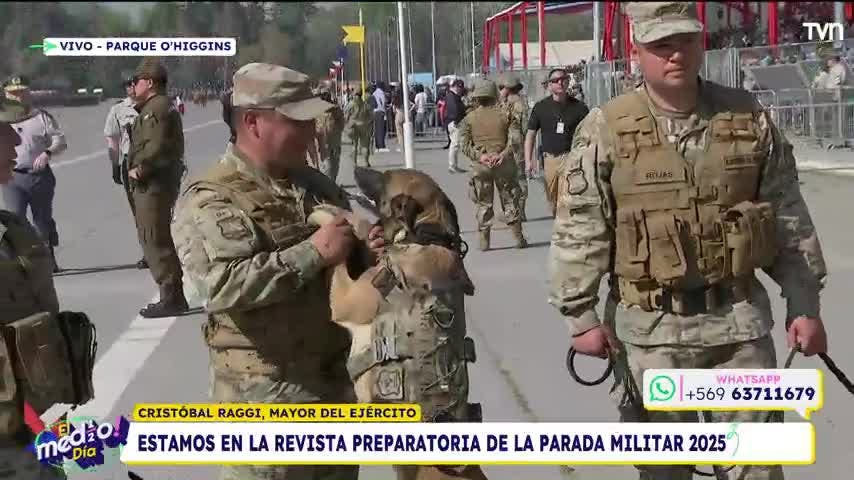Perritos del Ejército se roban las miradas en la Revista de la Parada Militar