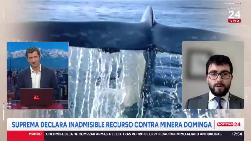 “La Corte Suprema no dice nada sobre la viabilidad del proyecto Dominga”