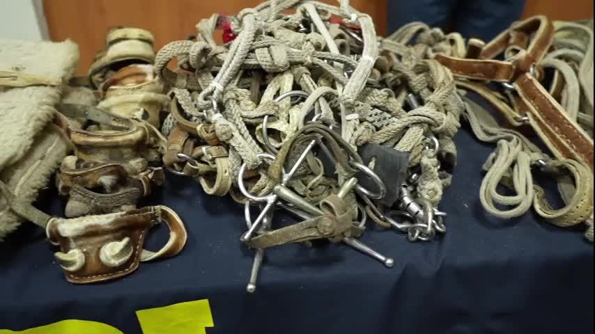Amplían plazo de investigación a Banda de los Aperos
