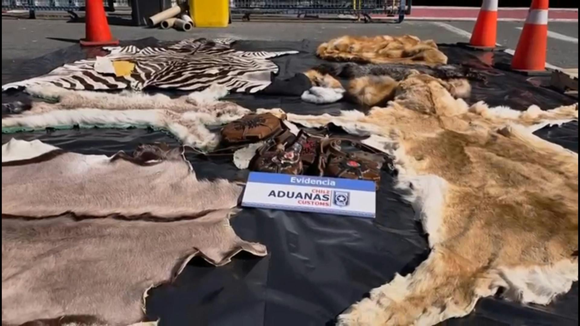 Defensa de exembajador pidió sobreseer el caso