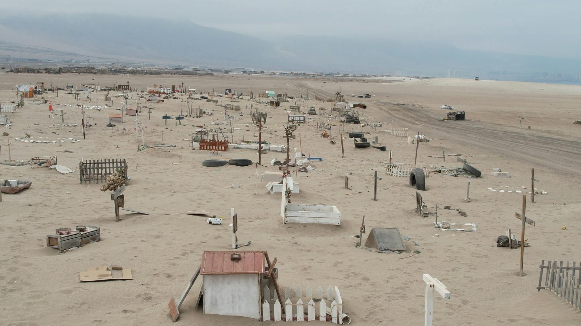 Más de 5 kilómetros mide ya el cementerio de mascotas ubicado en el sector de la Rinconada 