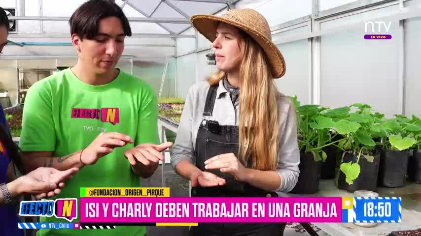¡Desafío Granja! Charly e Isi aceptaron el reto