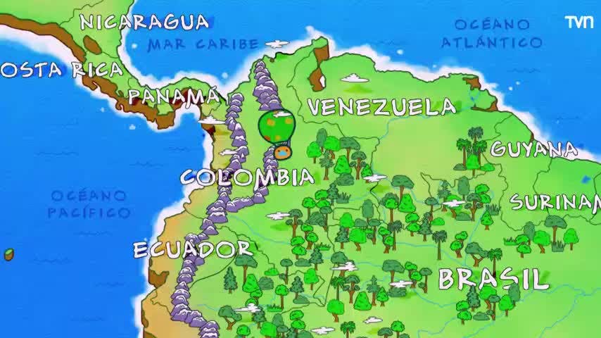 Hola Flinko de NTV: "Mono titi ornamentado"