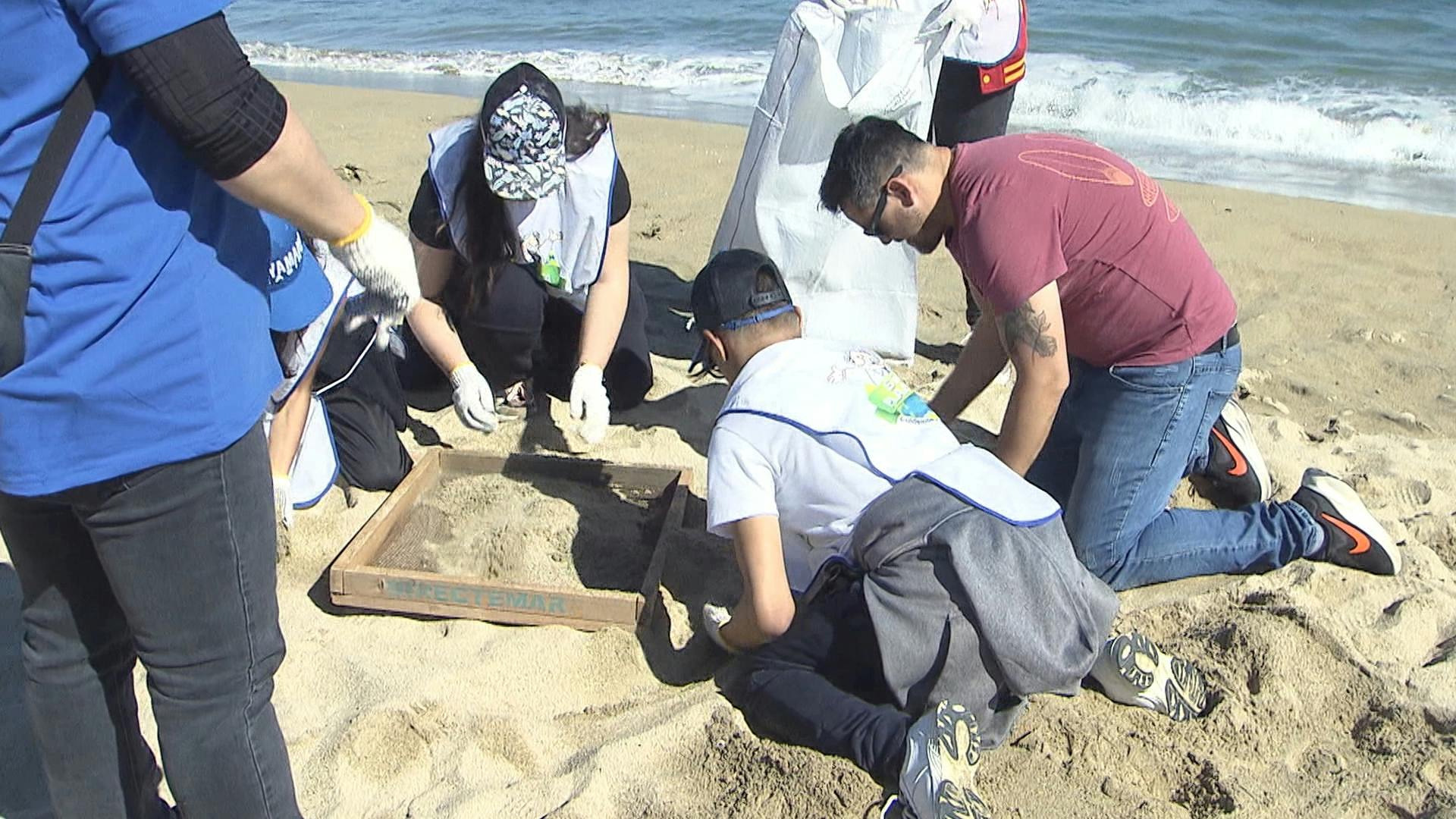 Día mundial de limpieza de playas