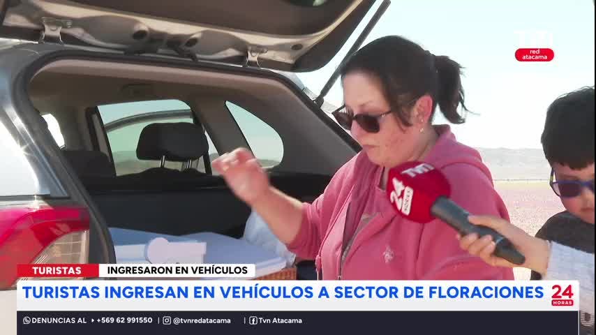 Turistas ingresaron en vehículos a sector de floraciones