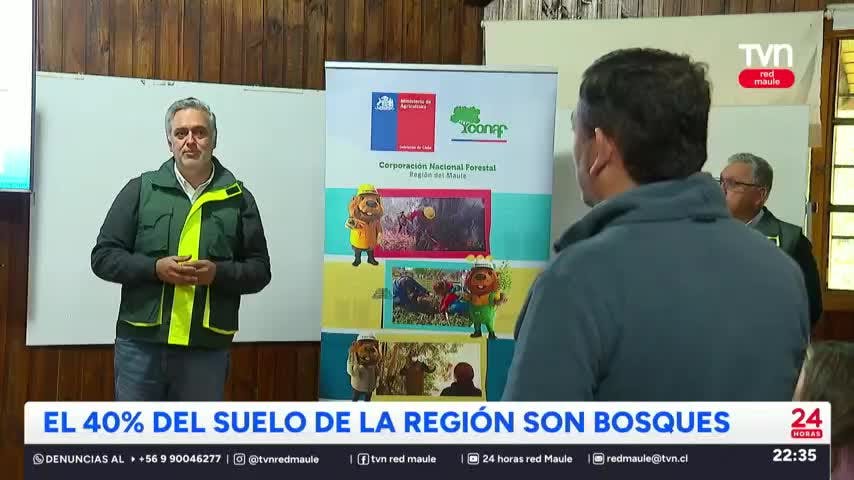 Conaf presentó catastro del uso de suelo en el Maule