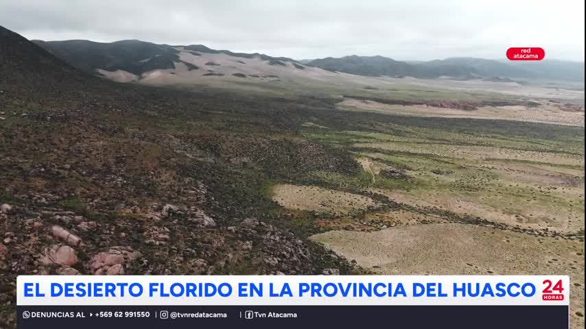 El Desierto Florido en la Provincia del Huasco
