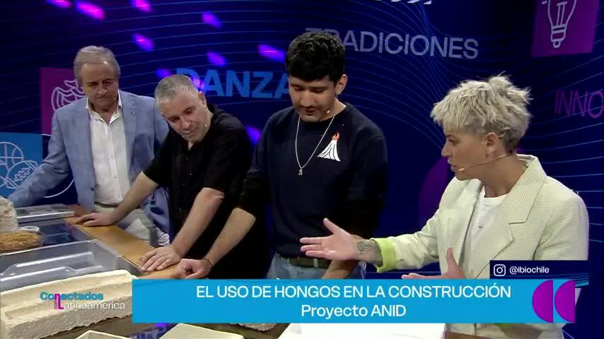 Conectados con Latinoamérica: Abejas de Colombia, Hongos Constructores y el Desafío Polar Antártico