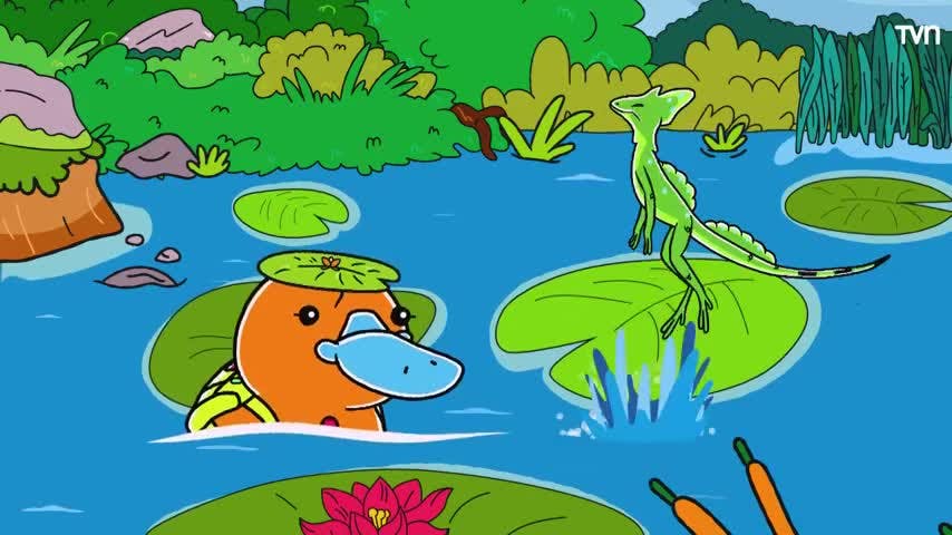 Hola Flinko de NTV: "Lagarto Basilisco" 